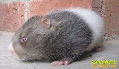 ���������⽨��������ɽ�����������¸�·