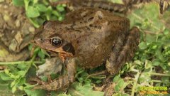 [ũ�����]����ɽ���ܷ⹵����������Ƶ