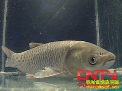 [ũ�����]������ֳ������Ƶ