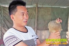 �Ĵ��ڽ�������Ұ�� ΢�Ŷ������̻�