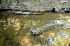 [�����е�]������ũ��������׬Ǯ��������