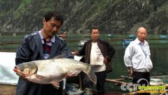 [�¸���]������������ա�ʩ����ľ�ϲ�Ƹ�