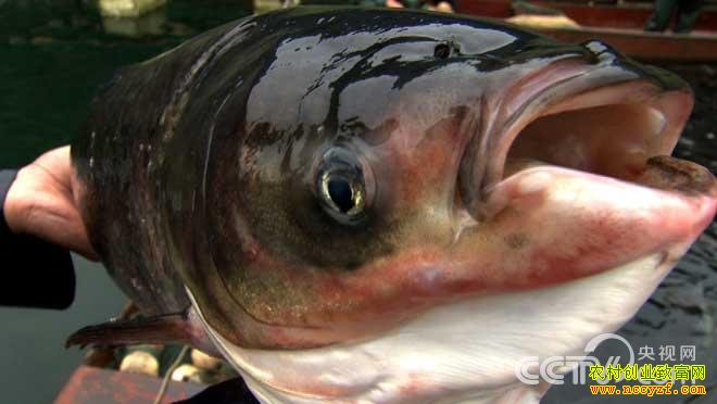 �¸���������ա��ľ�ϲ�Ƹ�