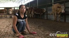 [�¸���]�Ĵ���ɽ����Զ����ţ�治��