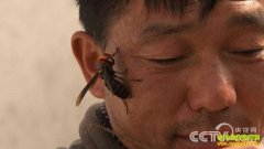 [�¸���]���������ػƹ��Һ�����ֳ�Ƹ�������