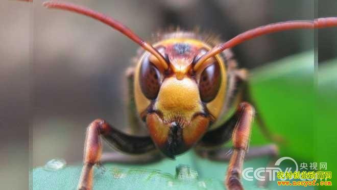 �¸���������ʡ��ɽ�������ػƹ�����ֳ�����¸�����Ƶ