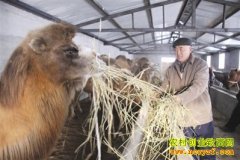 [ũ�����]����ƽԭȦ��������Ƶ