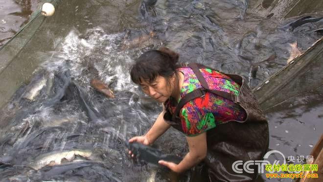 �¸������Ĵ��˱�����ӢС�ӹ����㴴ҵ