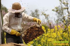 [ÿ��ũ��]�����辶׬����Ǯ