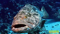 [�Ƽ�Է]���ڳ������ʯ����