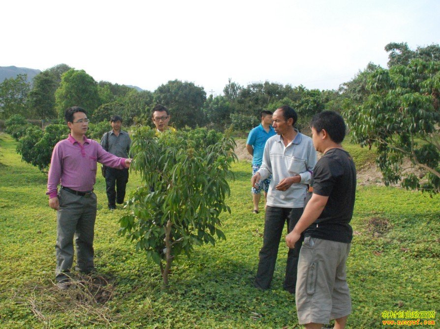 �ļ���������ֲͼƬ