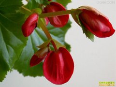 [ũ�����]���������缼����Ƶ