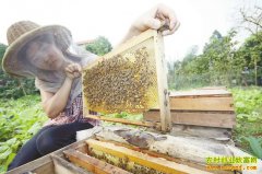 �¸��ð�������ɽ���۷� ��׬������