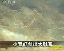 [�����е�]������ֳС��Ϻ������Ƹ�