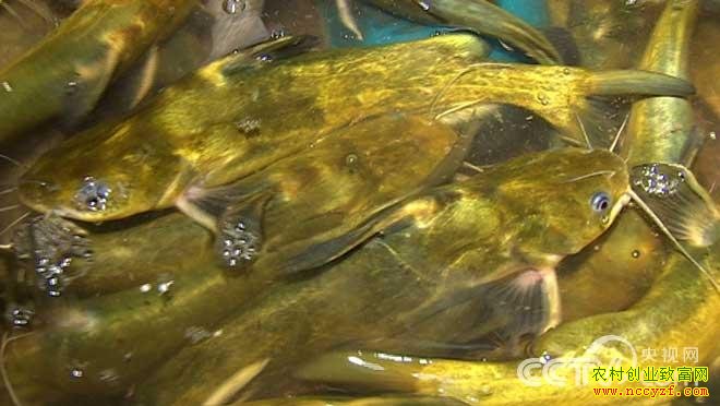 �¸��������������¸�����(��)�ų��ߵ����� 8��7��