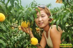 [ÿ��ũ��]��Ӳȡʤ�ĺ����������