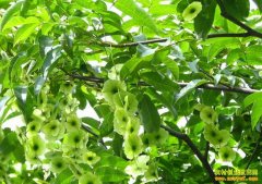 [�����е�]��ѧ����ҵ�������ӹ���Ǯ��Ҷ�贴ҵ�¸�