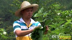 [�¸���]�������Ҷ�ҿ���ɣ������ ׬Ǯ���ڲ�ͬ