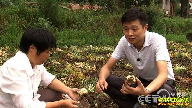 ���������¸��������ˣ��������С��׬ǧ��