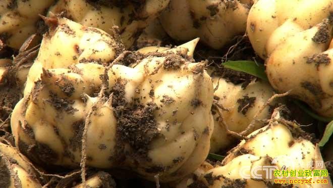 ���������¸��������ˣ��������С��׬ǧ��