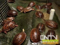 [ũ�����]��Ǯ����ֳ������Ƶ