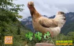 [ÿ��ũ��]Ѱ�Ҵ�ɽ���Ǽ��ññ��