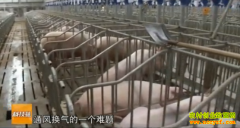 [�Ƽ�Է]��һ����������