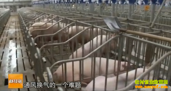 ������ͼƬ