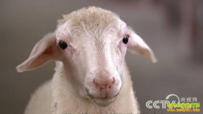 �¸��������Բ�����Ů���ش����� 8��24��