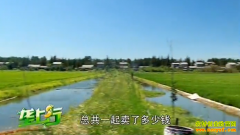 ũ���¸���Ŀ��Ϻ������ ׬Ǯ�ֱ���