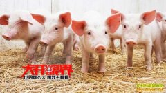 [�Ƽ�Է]�������С�����������������