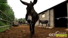 [�¸���]���������������ĵ�����¿��¿��