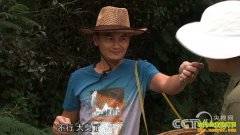 [�¸���]������˫�����ܿ»�ˮ���ɷ�������