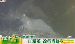 �¸��ð�����IT��Ӣ��������Ϻ��Ϻũ