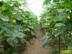 [ũ�����]���ӳٴ���ƹ����༼����Ƶ