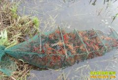 [ÿ��ũ��]�����Ľ��С��Ϻ�����·