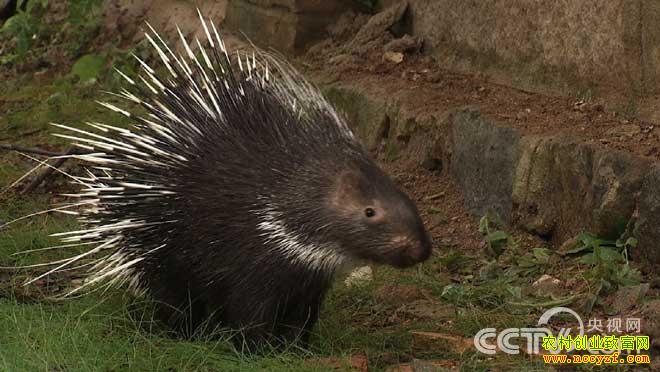 [�¸���]�������ݳ�־����ֳ���̵ĺ����¸�����Ƶ