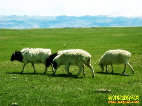 ������³����ͼƬ