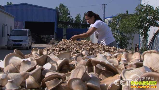 [ũ�����]���̹���ֲ������Ƶ