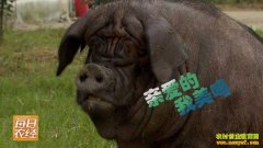 [ÿ��ũ��]���Ľ�կ����������