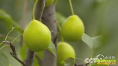 [��ɫʱ��]��԰�ɴ��� ���ɺ�׬Ǯ