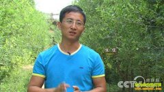 [�¸���]���ɹ�����90��С����żѿ�Ұ������