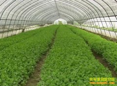 [ũ�����]���Ҵ����߲�����������Ƶ