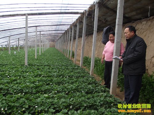 ��ݮ������̼ʩ��ͼƬ