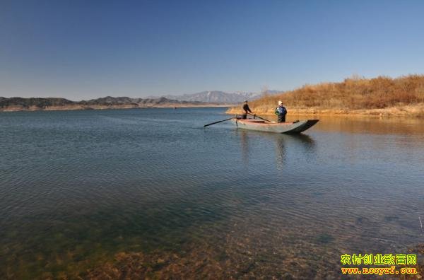 ����ˮ����ͼƬ