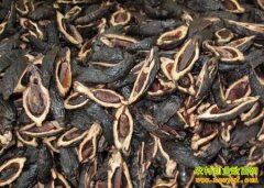 [ũ�����]���Ƹɼӹ�������Ƶ