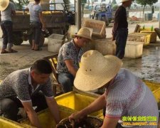 ����������������ֳ��������ũ���¸�