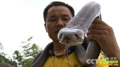 [�¸���]����������־�������߳ɾͲƸ�����