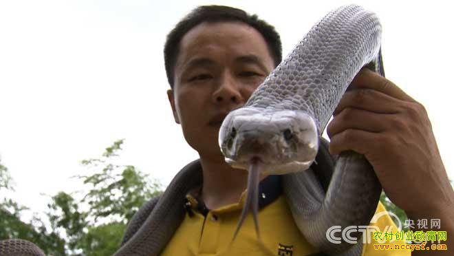 [�¸���]����������־�������߳ɾͲƸ�����