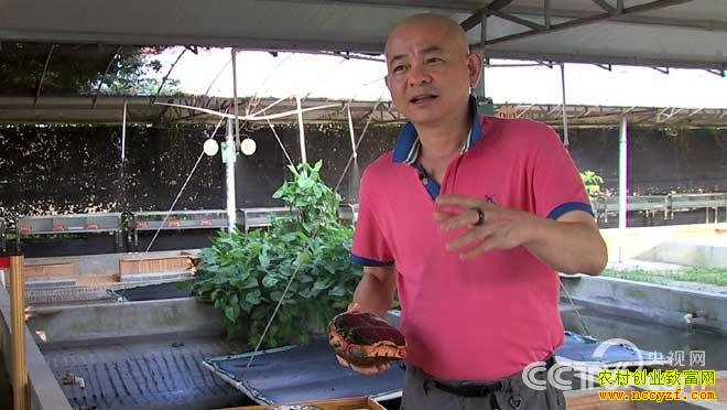 [�¸���]�������ݵ�Ⱥ�ʽ�Ǯ����ֳ��ҵ�¸���